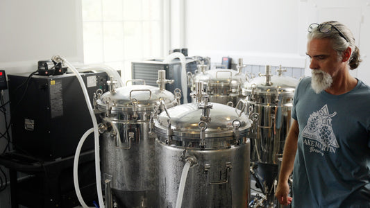 new brewing model