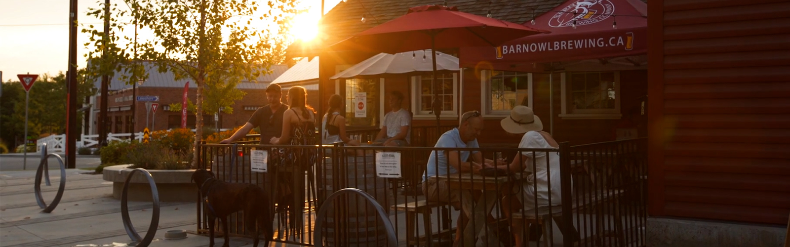 barn owl brewing patio