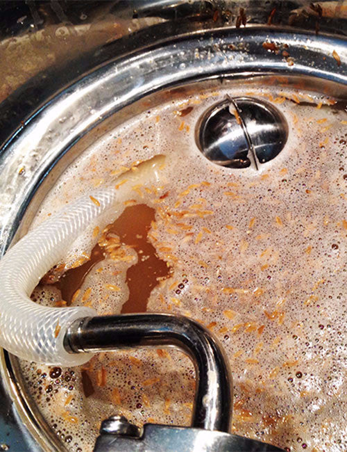 wort hose floating in mash tun
