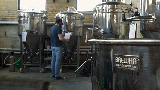 How to brew amazing beer with the BREWHA BIAC brewing system
