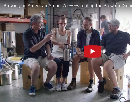 evaluate american amber ale