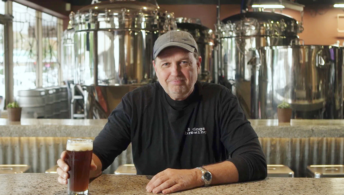 BREWHA brewing system installed in a brewpub