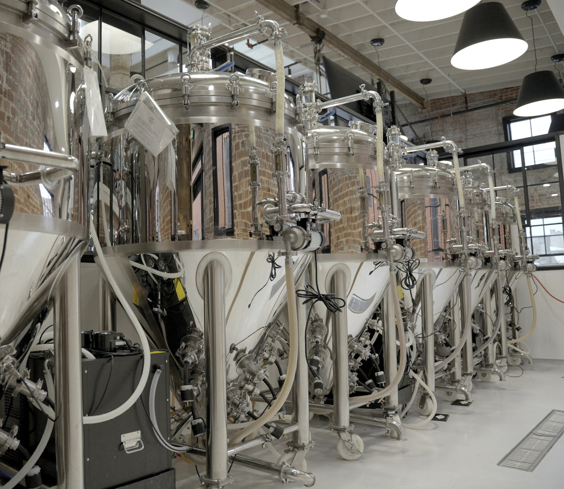 expanding brewery